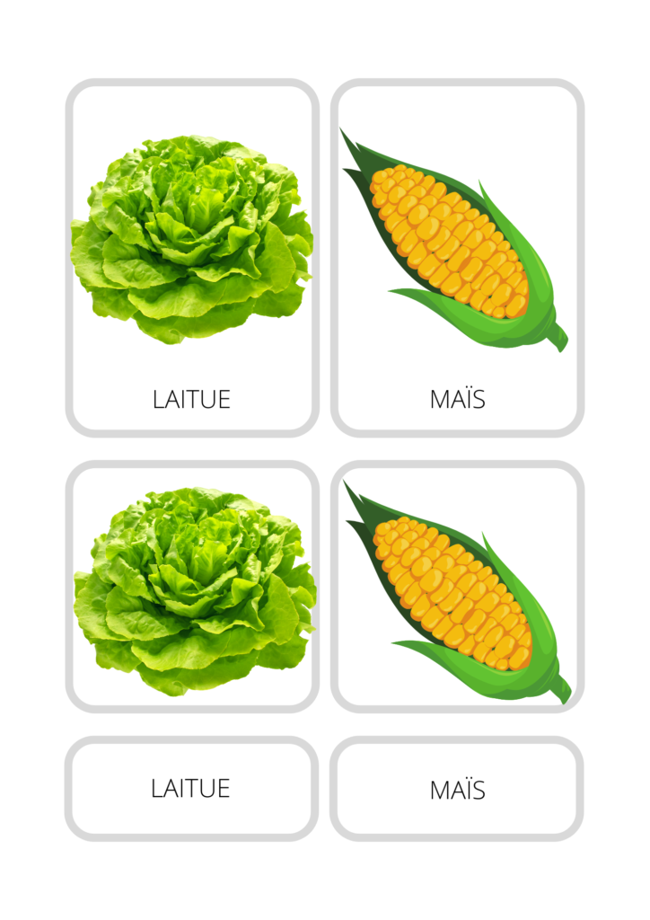 Enseignement légumes fiches PDF