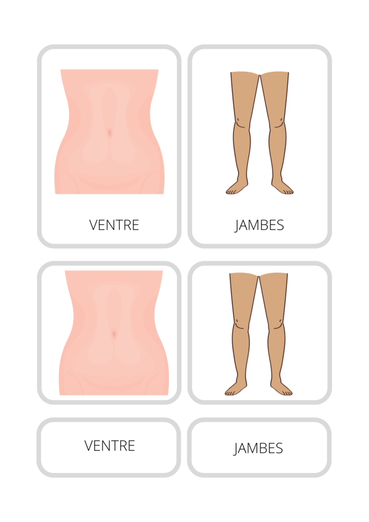 Carte Éducative Montessori - Vue Générale du Corps Humain