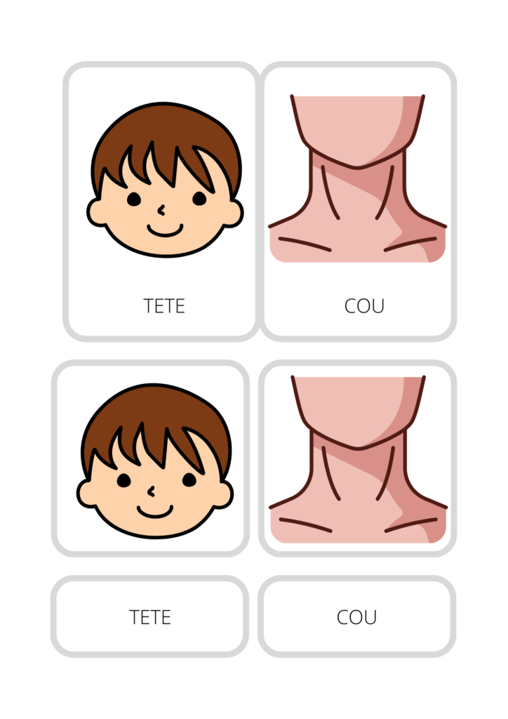 Carte de Nomenclature Montessori - Anatomie Humaine à Imprimer