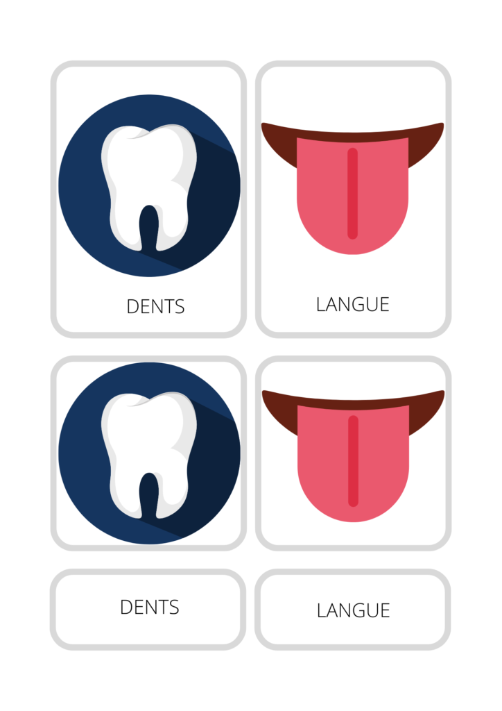 Image pour Enseignement Montessori - Introduction à l'Anatomie Humaine